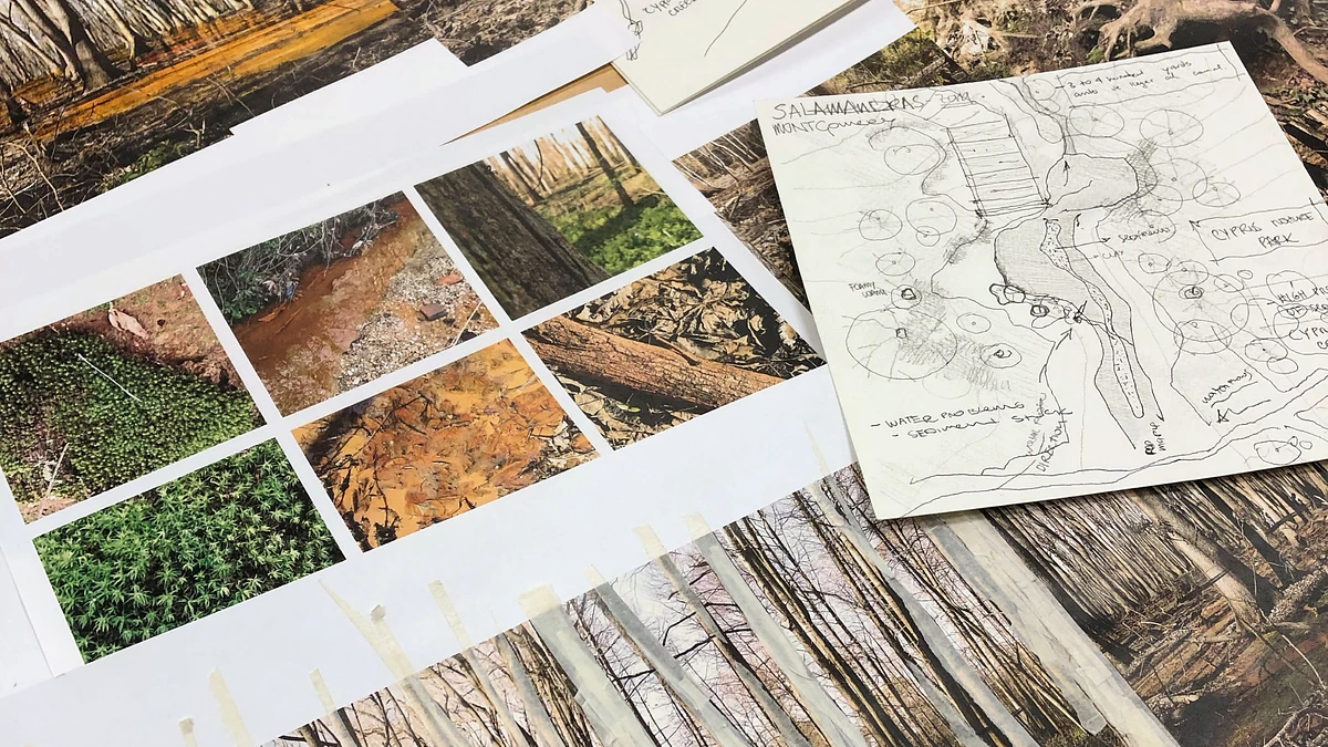 New Undergraduate Landscape Architecture Program 