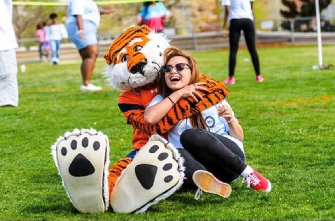 What is Student Affairs?