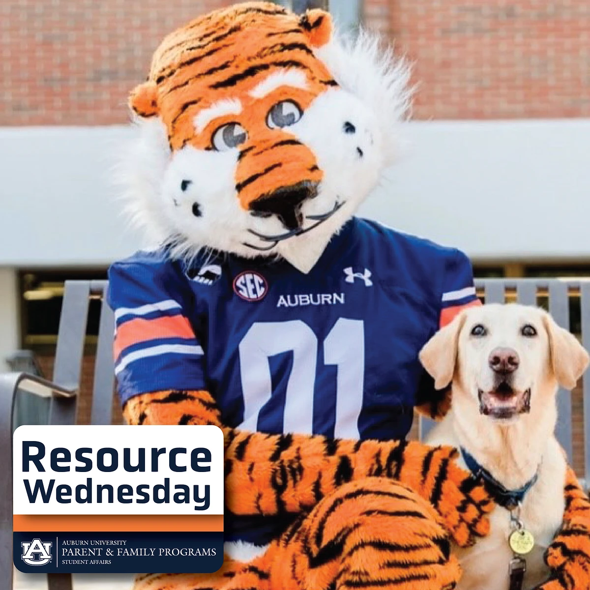 Resource Wednesday-Student Counseling and Psychological Services