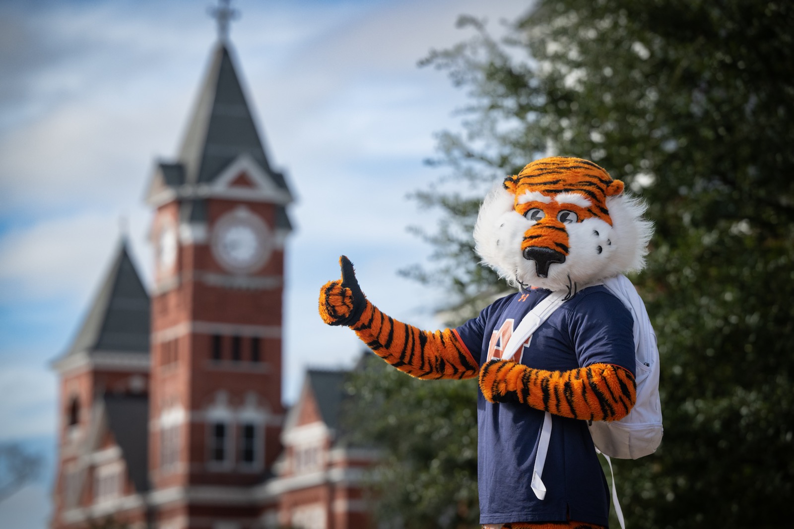 Midterm Time is Here | Auburn Family Portal